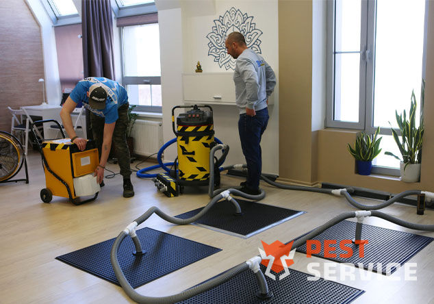 Профессиональная сушка после потопа в Первоуральске от 3000 руб. Быстро устраняем влагу, предотвращаем плесень и повреждения. Современное оборудование и опытные специалисты. Безопасно и эффективно.